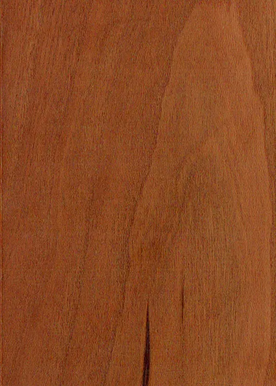 ブラックチェリー